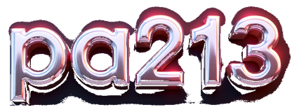 pa213 logo